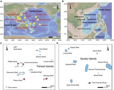 Insights Into the Environmental Impact on Genetic Structure and Larval Dispersal of Crown-of-Thorns Starfish in the South China Sea